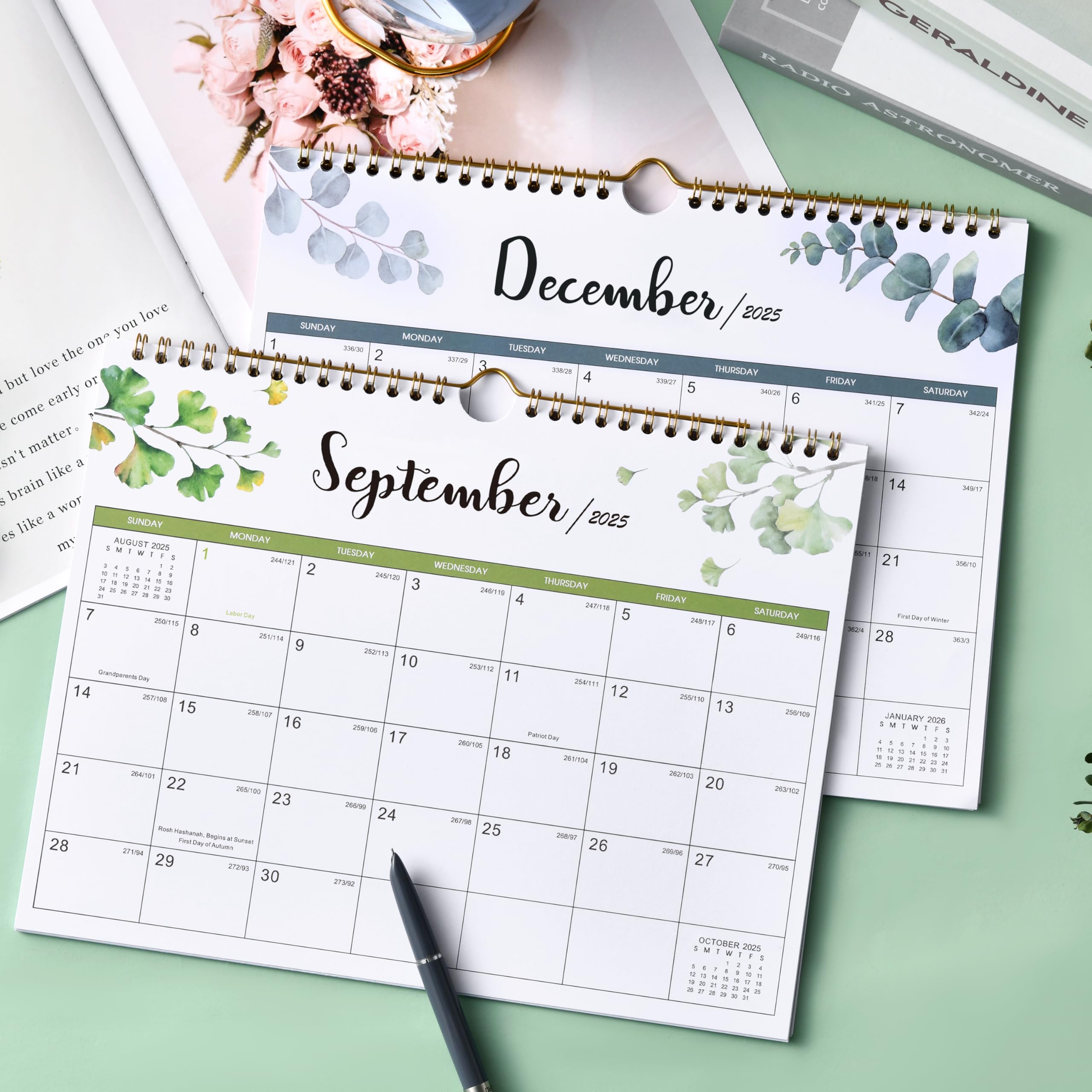 Amazon.com: 2025-2026 Calendar - 2025-2026 Wall Calendar